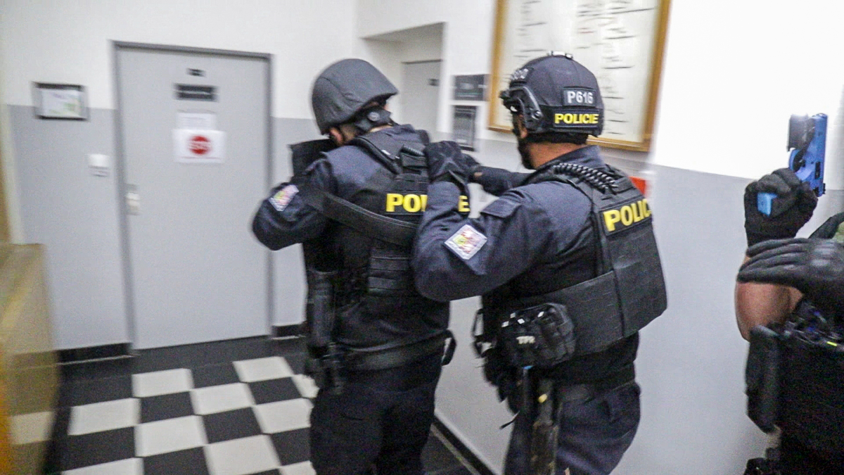policie cviceni domazlice