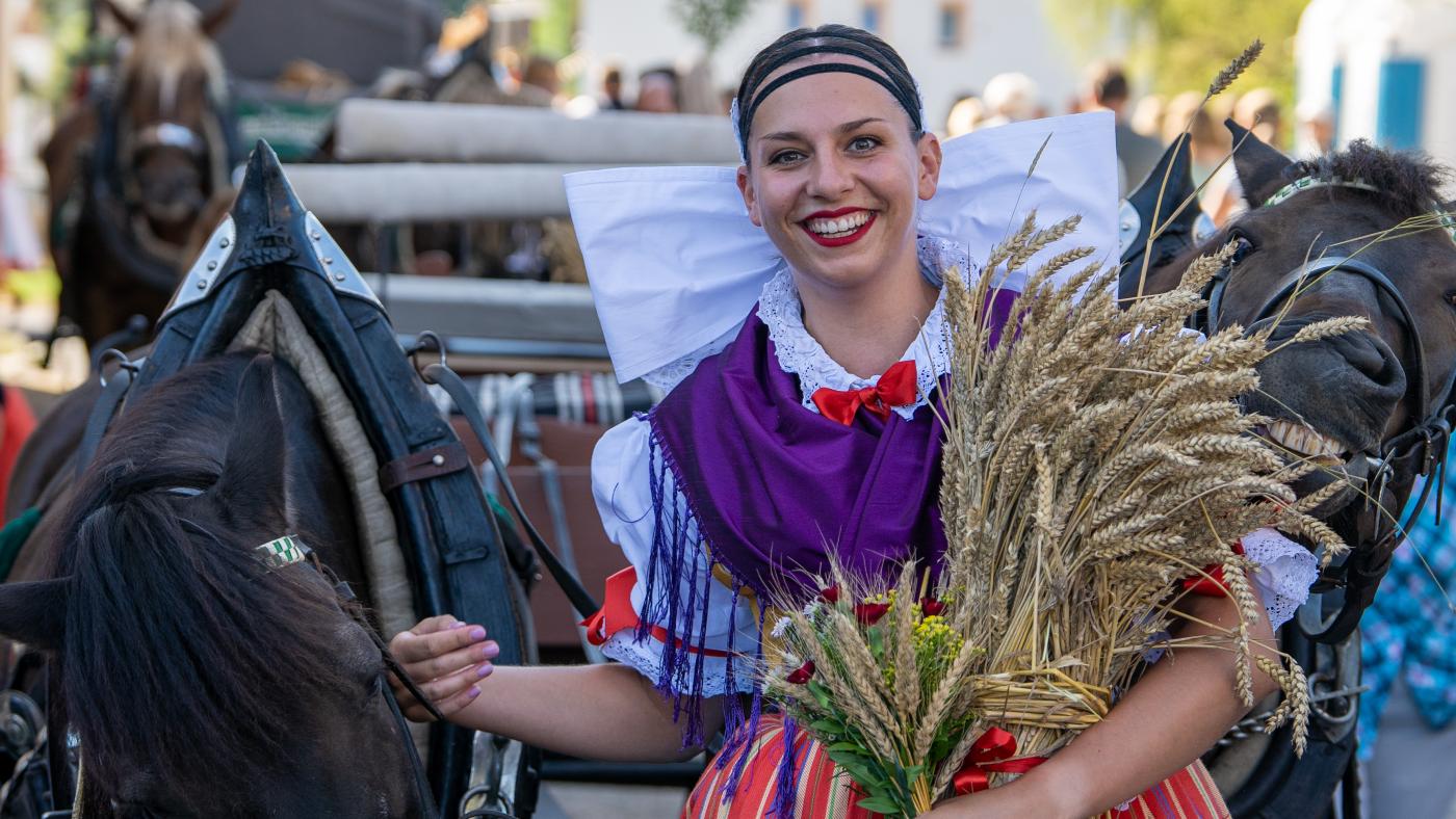 Dožínky Plzeňského kraje
