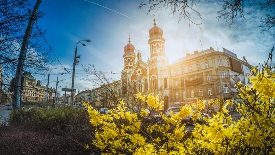 Kulturní a společenské akce druhé poloviny pracovního týdne se v Plzni ponesou ve znamení jara