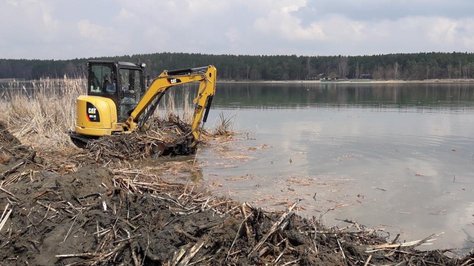 Břehy Velkého boleveckého rybníka znovu vyčistí speciální stroj