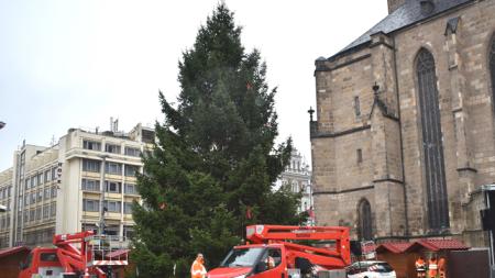 Vánoční strom na náměstí ozdobí v průběhu pěti dnů 3,5 kilometru světelných řetězů
