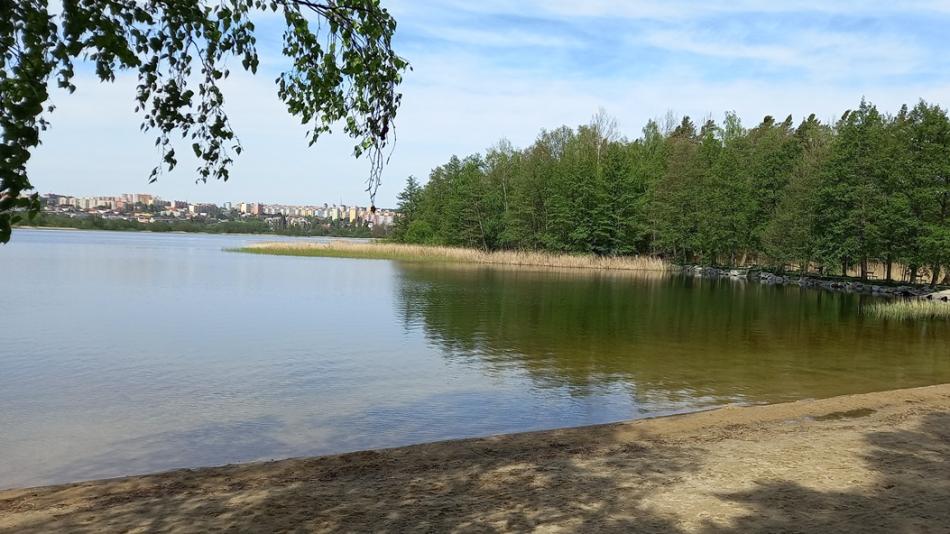 VIDEO: Bolevecký rybník je ve skvělé kondici