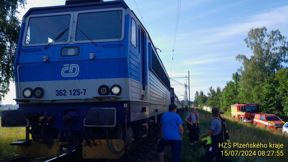 Vlak na Plzeňsku srazil dva psy pobíhající v kolejišti. Jeden na místě zahynul