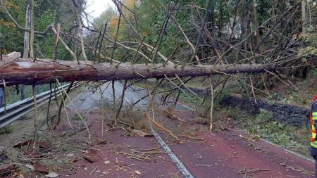 Vítr na Karlovarsku páchá škody. Do povaleného stromu narazil vlak