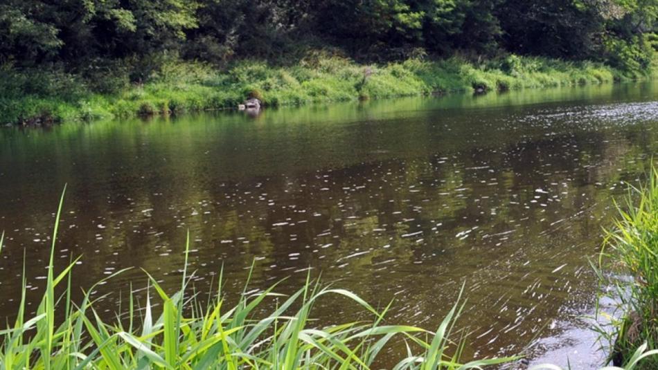 Správci toků v Plzeňském kraji se zvýšením odtoku přehrad připravují na srážky