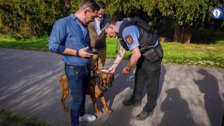 Městská policie v Plzni opět kontrolovala pejskaře