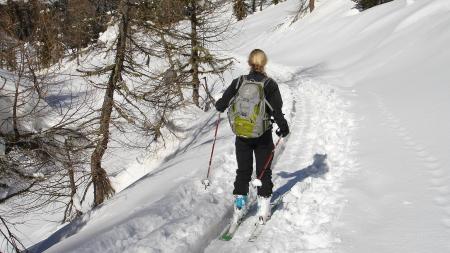 Skialpinista, který napadl strážce národního parku, zná trest!