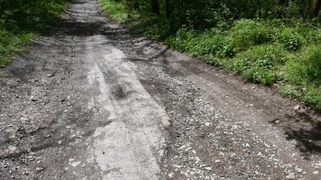 Lesní cesty v několika okrajových částech Plzně se dočkají opravy