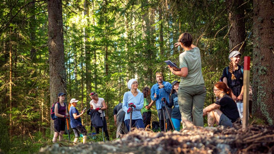 Dobrovolníci a dobrovolnice z Hnutí DUHA pomáhali s revitalizacemi šumavských mokřadů a rašelinišť