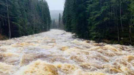Šumavské řeky Vydra, Křemelná a Otava mají po deštích první povodňové stupně