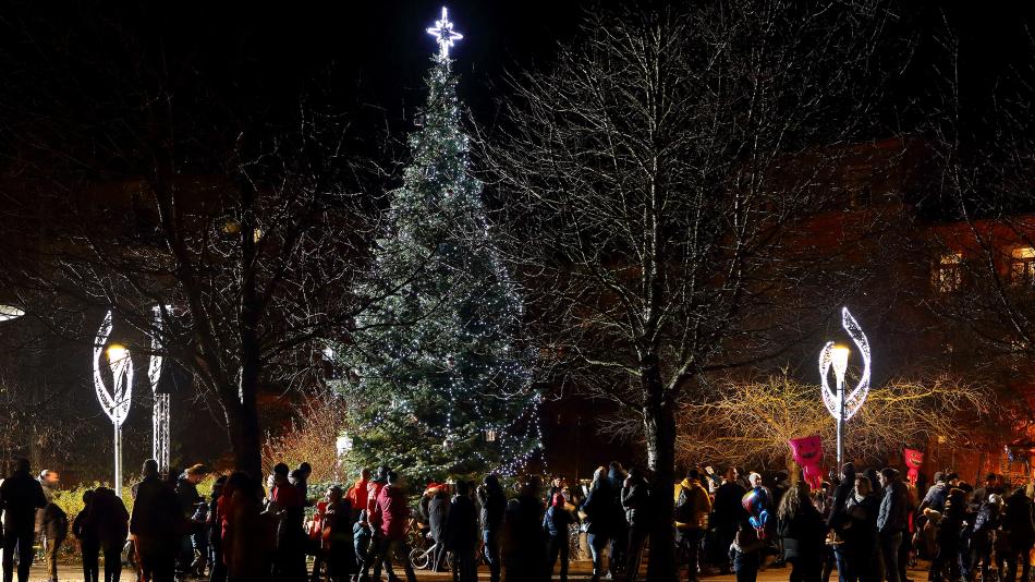 Na Doubravce se vánoční strom rozzáří 2. prosince