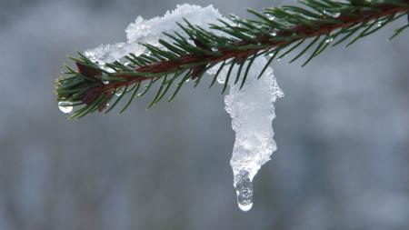 Tradiční vánoční obleva. Meteorologové očekávají vzestupy hladin toků