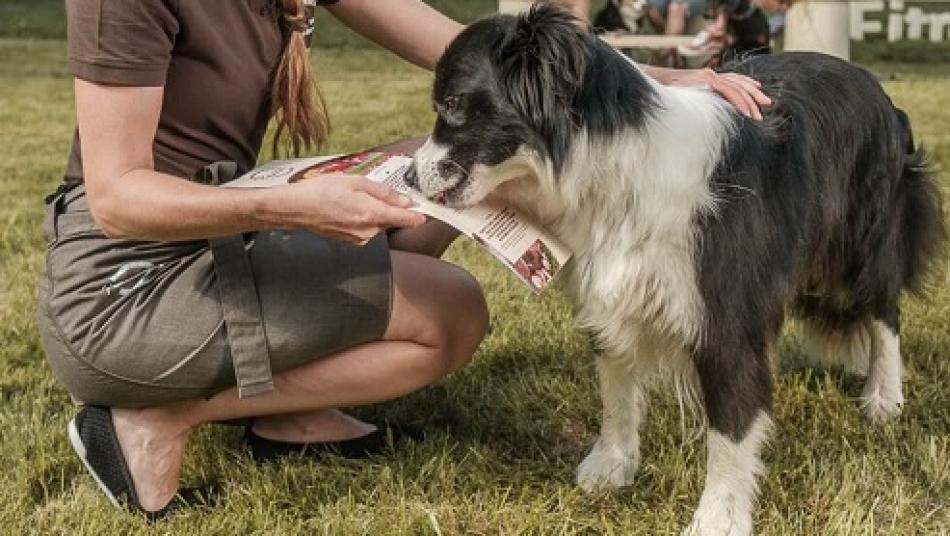 Udělejte radost svému čtyřnohému parťákovi, dopřejte mu gurmánský zážitek! Do Plzně poprvé zavítá PESTAURACE