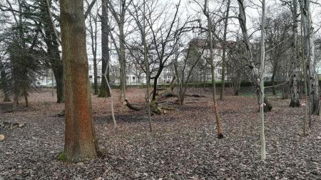 Papírenský park na Slovanech čeká proměna. Plzeň zahájila přípravné práce