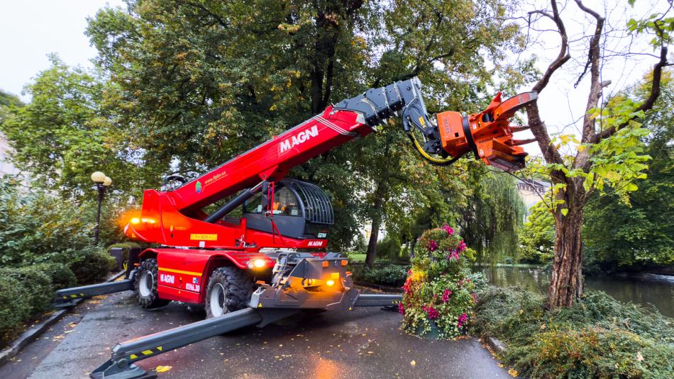 Ve Dvořákových sadech musely být kvůli havarijnímu stavu vykáceny tři stromy