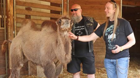 Hvězdy Metalfestu křtí tříměsíční velbloudici