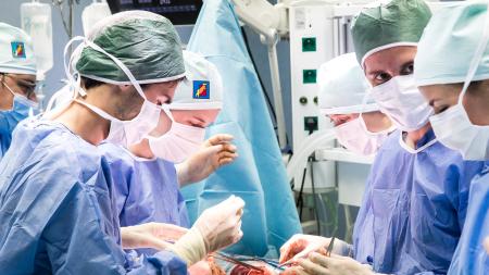 Medici operují na škole experimentální chirurgie v Plzni prasata