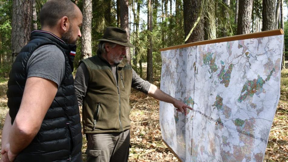 Plzeňské městské lesy mají nový hospodářský plán na příštích deset let