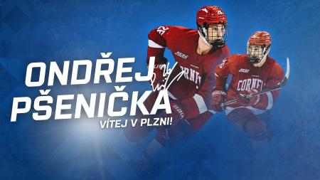Hokejová Plzeň dál posiluje. Do útoku přichází bývalý mládežnický reprezentant