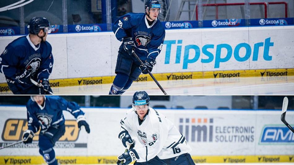 Hokejová Plzeň čítá ztráty, přišla o klíčového reprezentačního beka i nadějného mladíka