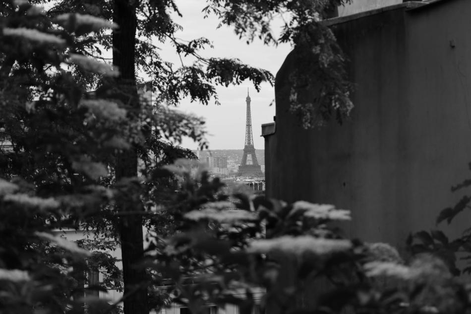 Olga Walló: Voltaire a příliš otevřená okna