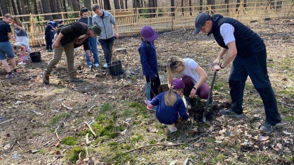Plzeň uspořádá Den pro les, dobrovolníci budou sázet stromy