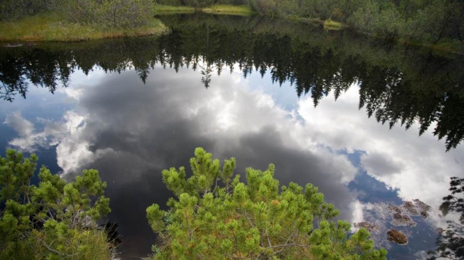 Je sucho, platí zákaz splouvání Teplé Vltavy! Situace bude pravděpodobně horší než před 10 lety, varuje Správa NP Šumava