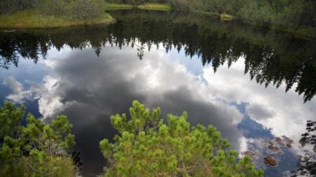Je sucho, platí zákaz splouvání Teplé Vltavy! Situace bude pravděpodobně horší než před 10 lety, varuje Správa NP Šumava