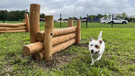 V Plzni na Doubravce otevřeli první psí hřiště