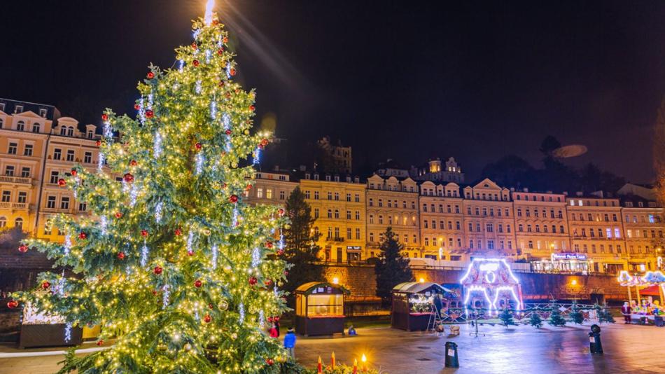 Karlovy Vary hledají strom pro letošní vánoční trhy