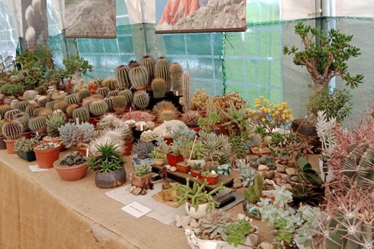 Všední dny v Plzni zpestří bohatý kulturní program