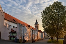 Pozoruhodná výstava bude zahájena v Plzni!