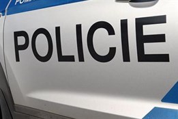 Zdrogovaný muž z Karlovarska vyhodil psa z okna. Zvíře uhynulo!