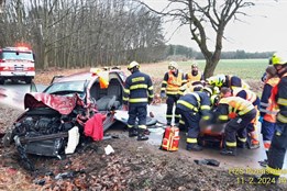 Mladý řidič narazil s autem do stromu, těžce se zranil