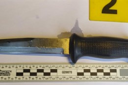 Ladislav (66) zabil svoji přítelkyni. Za vraždu půjde na 14 let do...