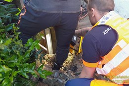 Drama v Přešticích. Muž spadl do osm metrů hluboké studny!