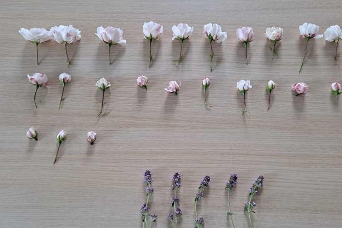 Místo do květinářství zamířila žena otrhat růže do parku