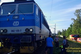 Vlak na Plzeňsku srazil dva psy pobíhající v kolejišti. Jeden na...