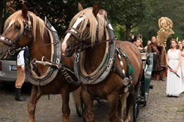 Divadlo J. K. Tyla zahájí 160. sezónu stálého českého divadelnictví...