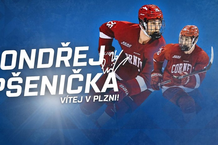 Hokejová Plzeň dál posiluje. Do útoku přichází bývalý mládežnický reprezentant