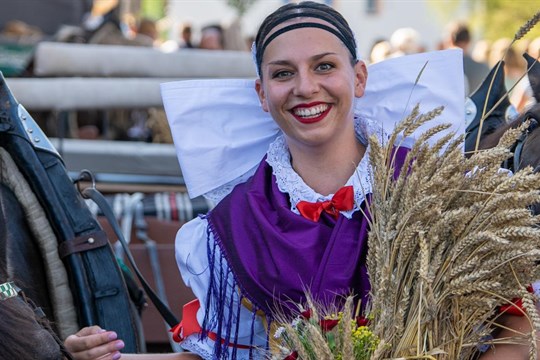 Dožínky Plzeňského kraje se letos uskuteční v Manětíně