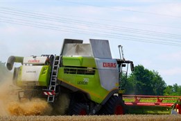 Sklizeň obilí v Plzeňském kraji byla podle farmářů dobrá, stěžují...
