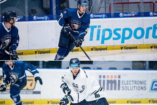 Hokejová Plzeň čítá ztráty, přišla o klíčového reprezentačního beka i nadějného mladíka