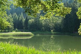 Zanedbaný pozemek proměnily v oázu života. Lesy Drmoul získaly...