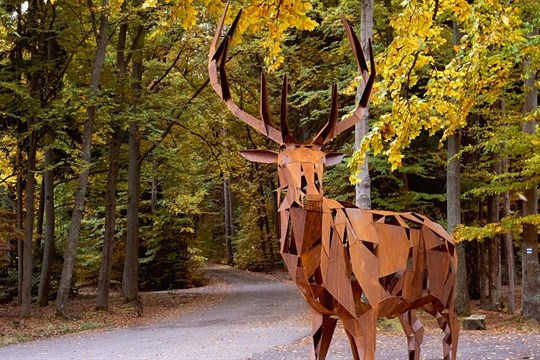 Jelen, který přivedl Karla IV. k pramenům, se vrátil do Karlových Varů