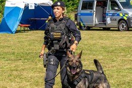 Pes Kaly se stal hrdinou noci, vypátral ztracenou seniorku v lese v...