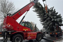 Karlovy Vary mají nový vánoční strom: Smrk z Tuhnic nahradil poničenou douglasku