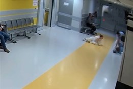 Počet agresivních pacientů vzrůstá. Personál plzeňské nemocnice chrání speciální ostraha