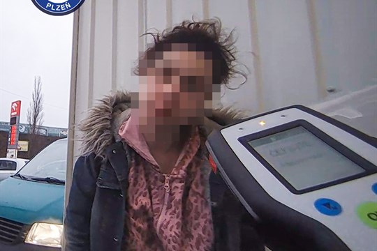 4,55 promile! Žena v Plzni šokovala strážníky rekordní opilostí