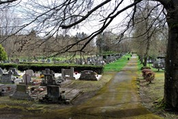 Aš investuje miliony: Na řadu přichází moderní čistírna i důstojné rozšíření hřbitova